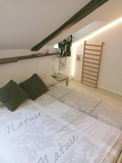 A Due Passi Dal Centro Apartman Torino Kültér fotó